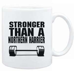  Mug White Stronger than a Northern Harrier  Animals 