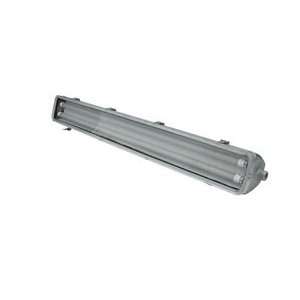 Class 1 Division 2 LED Light   4 foot 2 lamp   LED T series Style 