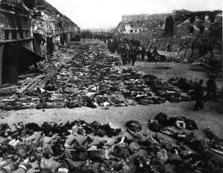 Bodies, Concentration Camp   WWII Holocaust Photo  