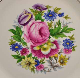 10 Fondeville Ambassador Ware England Floral Porcelain Plates  
