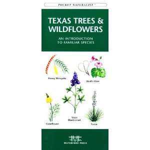  Folding Pocket Guide   Texas Trees & Wildflowers 