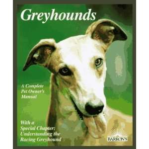  Greyhounds Everything About Adoption, Purchase, Care 