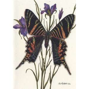  Sloanes Urania, Butterflies & Moths Note Card by Martha 