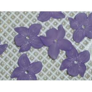    Matte Amethyst Lucite Viola Flower Beads Arts, Crafts & Sewing