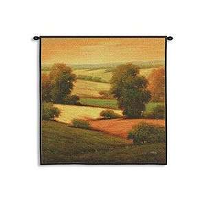   ll Tapestry Wall Hanging   World Market:  Home & Kitchen