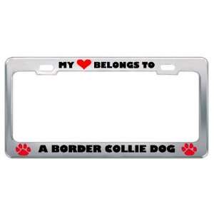   Border Collie Dog Animals Pets Metal License Plate Frame Holder Border