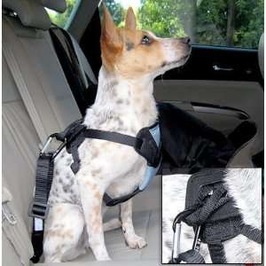  Dog Seat Belt Harness for Travel in the Car by Bergan Pet 