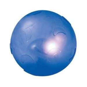  Twinkle Balls Cat Toy: Pet Supplies