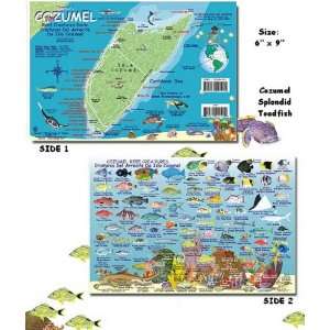    Trident Franko Cozumel Reef Creatures Fish ID Card