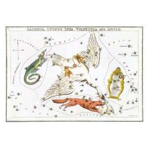  Cygnus and Adjacent Constellations   Poster (18x12)