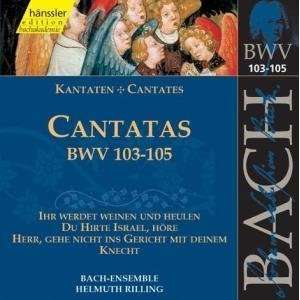   105) Bach Collegium, Rilling, Johann Sebastian Bach  Musik