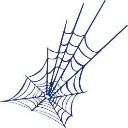 Wandtattoo Spinnenweben Spinnennetz Spinne Deko 610051  