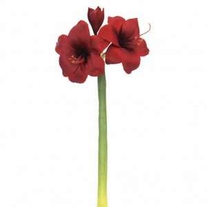  Artificial Amaryllis Flower Stem Wedding Decor