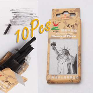 10 PCS Set Willow CHARCOAL Piece Bar Pencils Art SKETCH Drawing Artist 