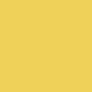   Artists Oil Colour yellow ochre light 745 1 1/4 oz.