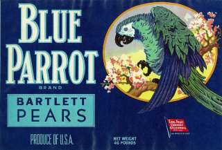 Blue Parrot Pear Crate Label San Francisco, CA  