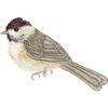 Brother PES Embroidery Machine Card BACKYARD BIRDS  