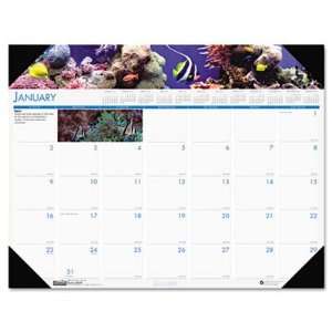    House of Doolittle Sea Life Monthly Desk Pad Calendar Electronics