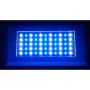  BlueLine 120 watt VHO LED Pendant