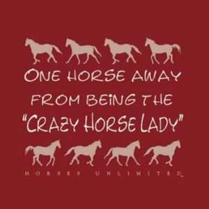 Crazy Horse Lady Hoodie Xlarge