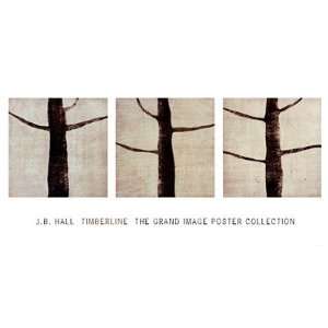   Timberline Finest LAMINATED Print Richard Hall 40x20