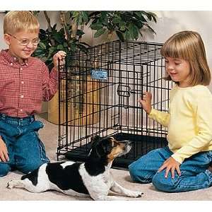  Midwest Life Stages Dog Crate 24 L x 18 W x 21 H Pet 