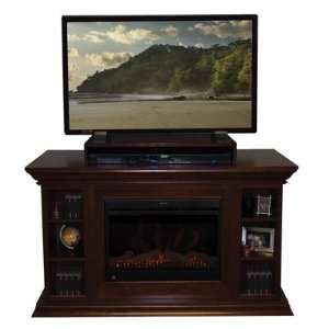   Designs Raleigh 25 Inch Media Electric Fireplace
