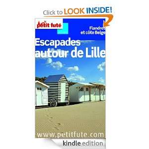 Escapades autour de Lille (GUIDES DEPARTEM) (French Edition 