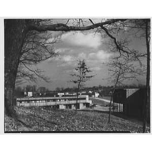   , New Kensington, Pennsylvania. General view framed by tree 1943