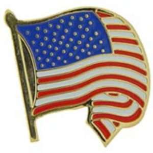  American Flag Wavy & Curled Pin 1 Arts, Crafts & Sewing