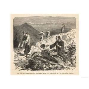  Chinese Miners Washing Sands for Gold Giclee Poster Print 