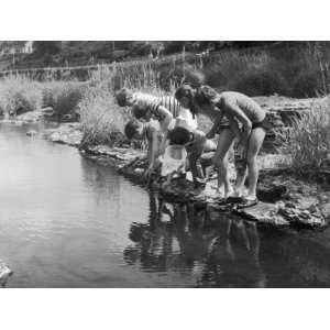 Group of Children Fishing with Nets in a Country Stream Stretched 