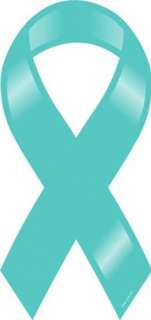 Plain Teal Car Ribbon Magnet. Show your support for the following 