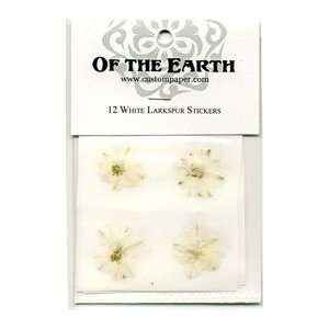  Pressed Flower Stickers White Larkspur 1.5 stickers (12 