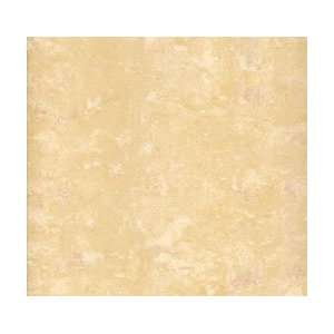    leonardo ceramic tile stargate beige 16x16