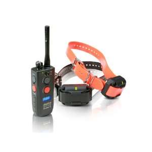    Dogtra 3502NCP Super X Series 2 Dog Training System: Pet Supplies