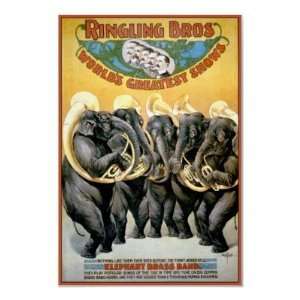  Ringling Brothers Circus Elephant Brass Band Posters